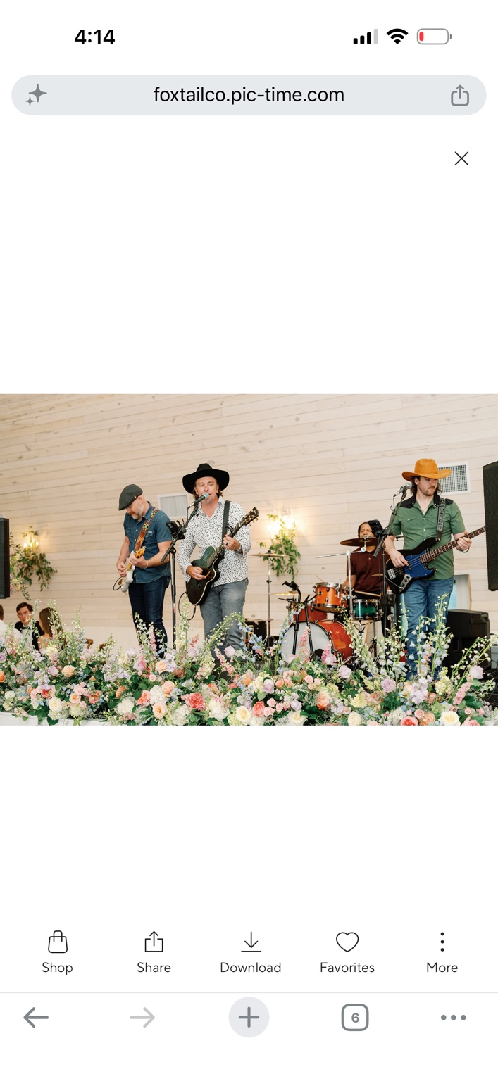 The band performing at a wedding reception